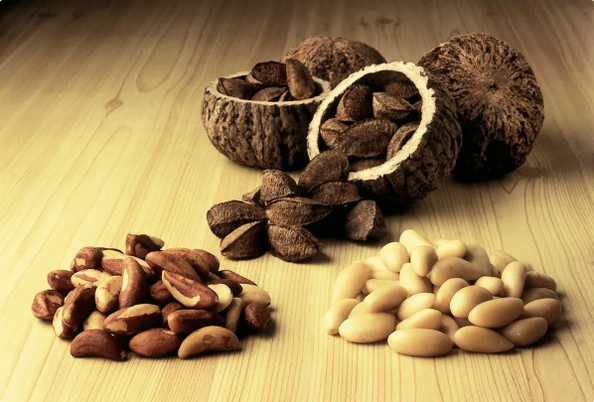 Nueces brasileñas