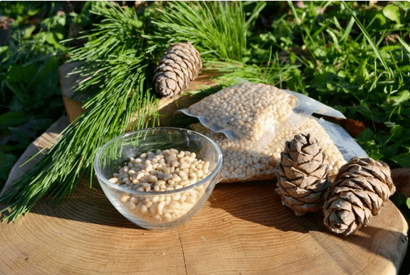 Nueces de cedro
