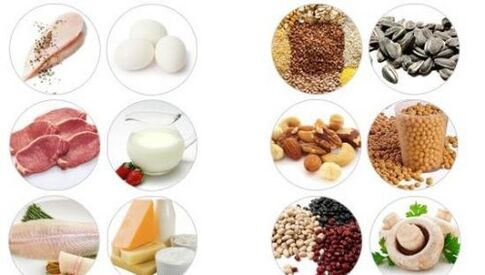 Productos ricos en proteínas animales y vegetales para la potencia masculina.