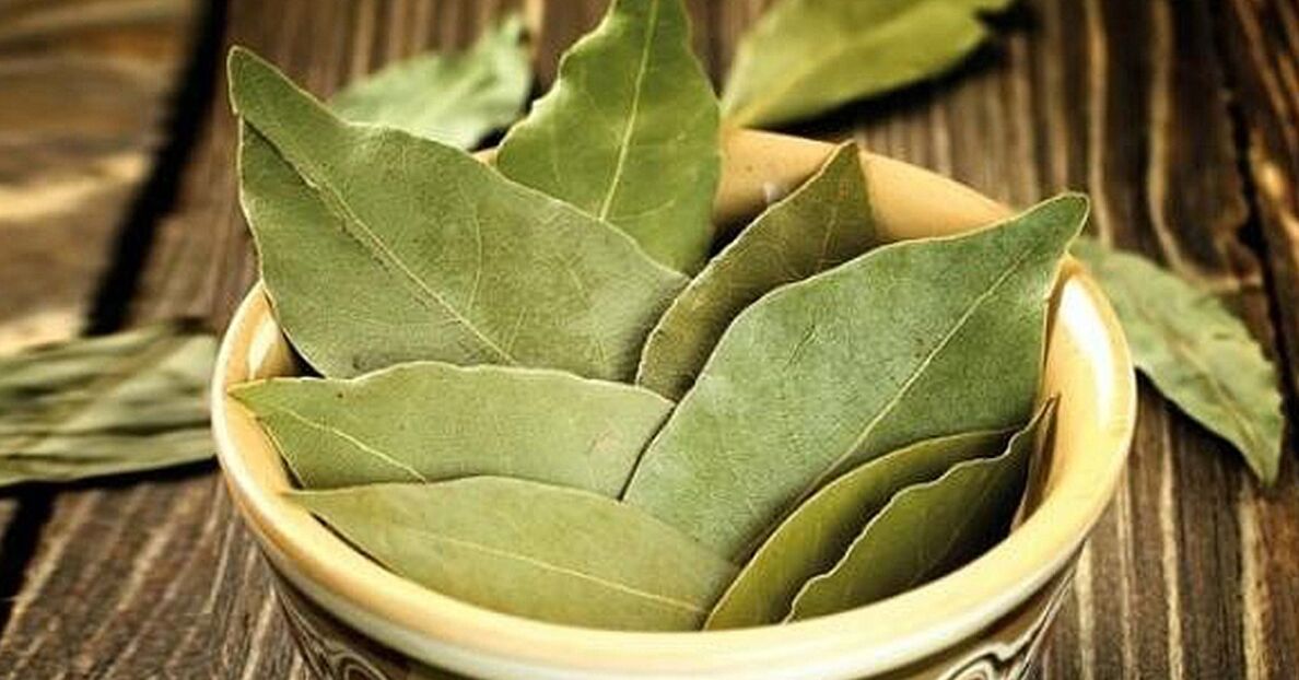 hoja de laurel para aumentar la potencia